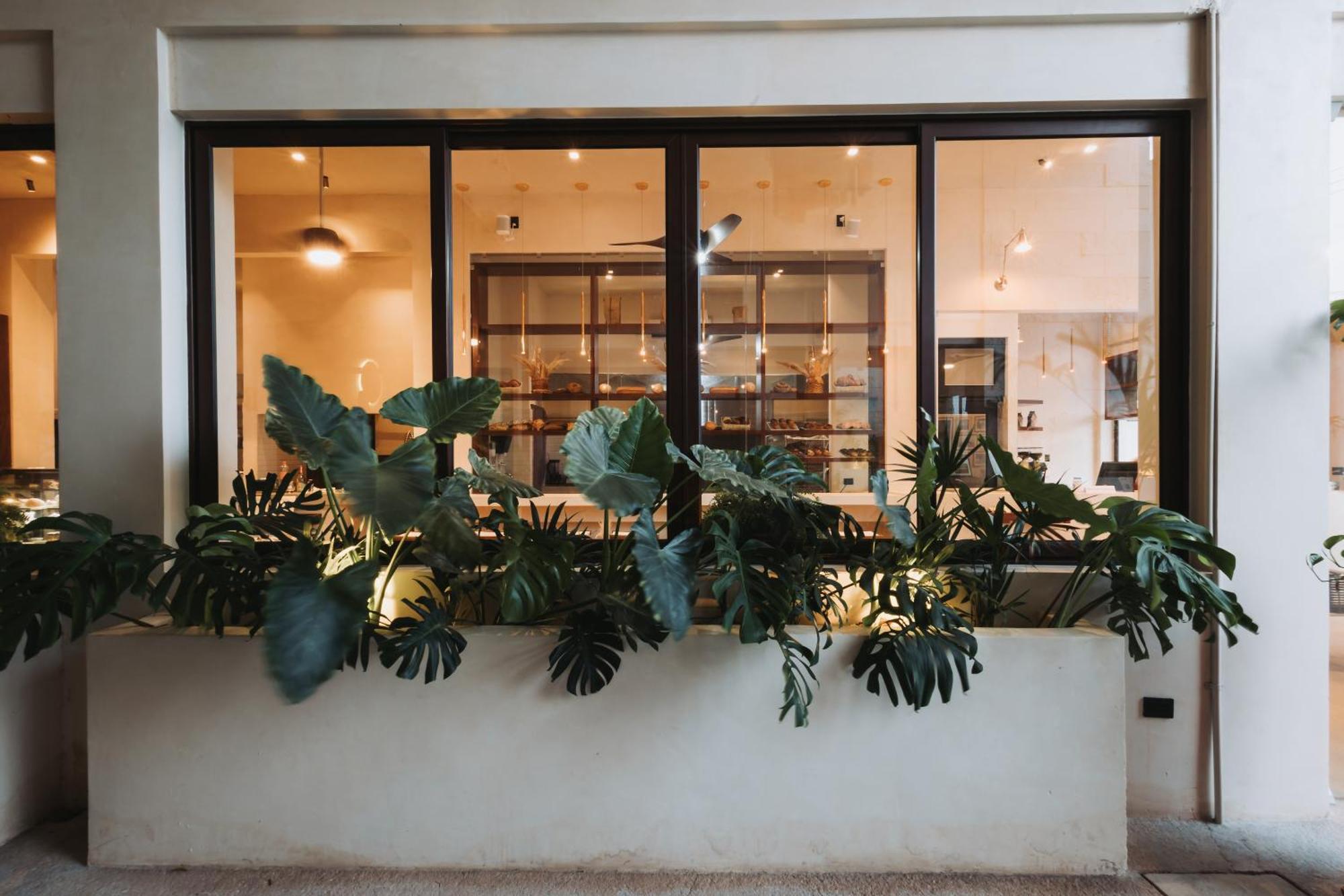 Hotel Casa Barbara Holbox Εξωτερικό φωτογραφία