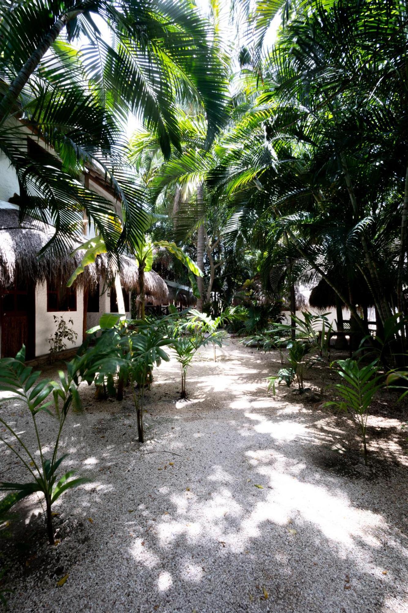 Hotel Casa Barbara Holbox Εξωτερικό φωτογραφία