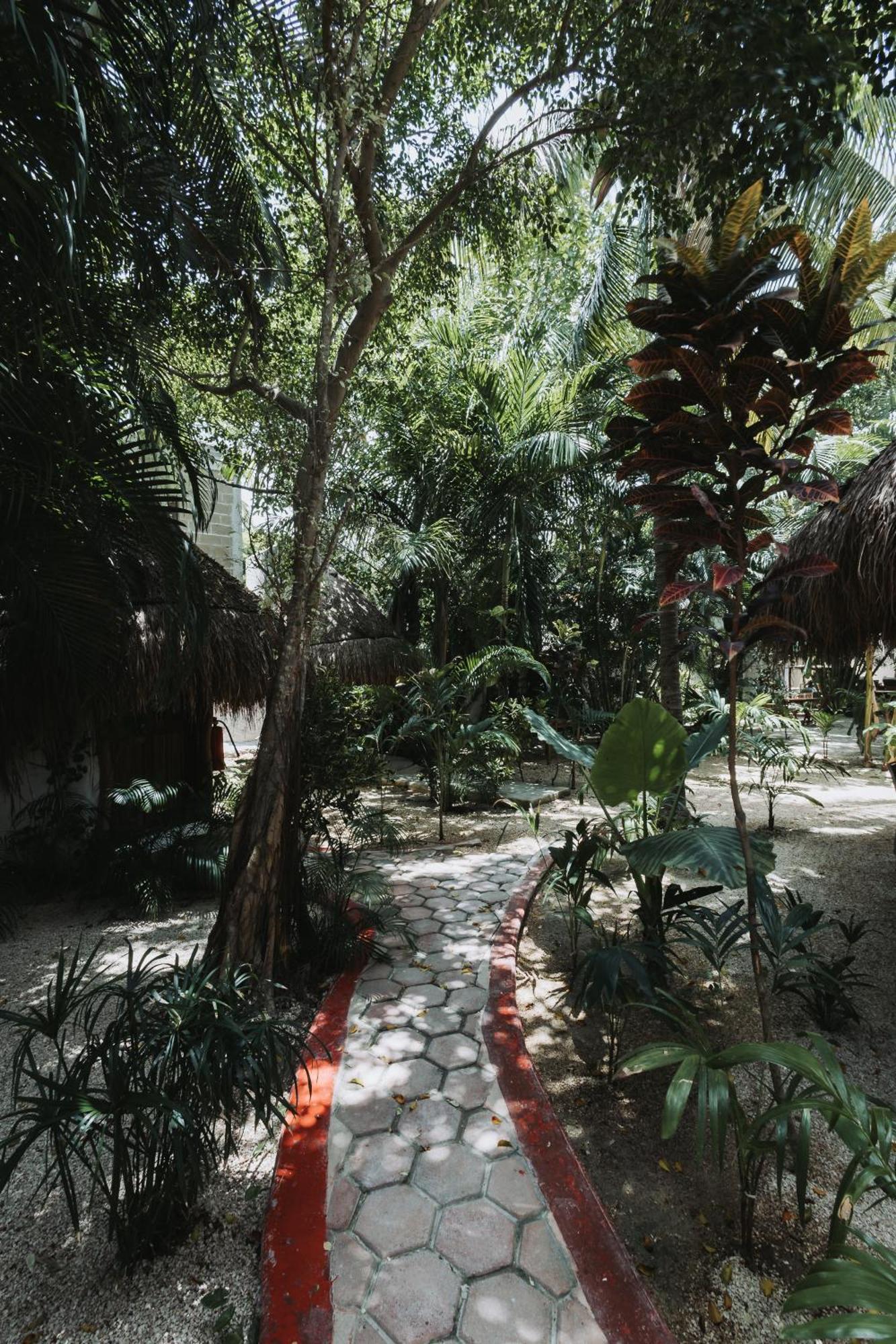 Hotel Casa Barbara Holbox Εξωτερικό φωτογραφία