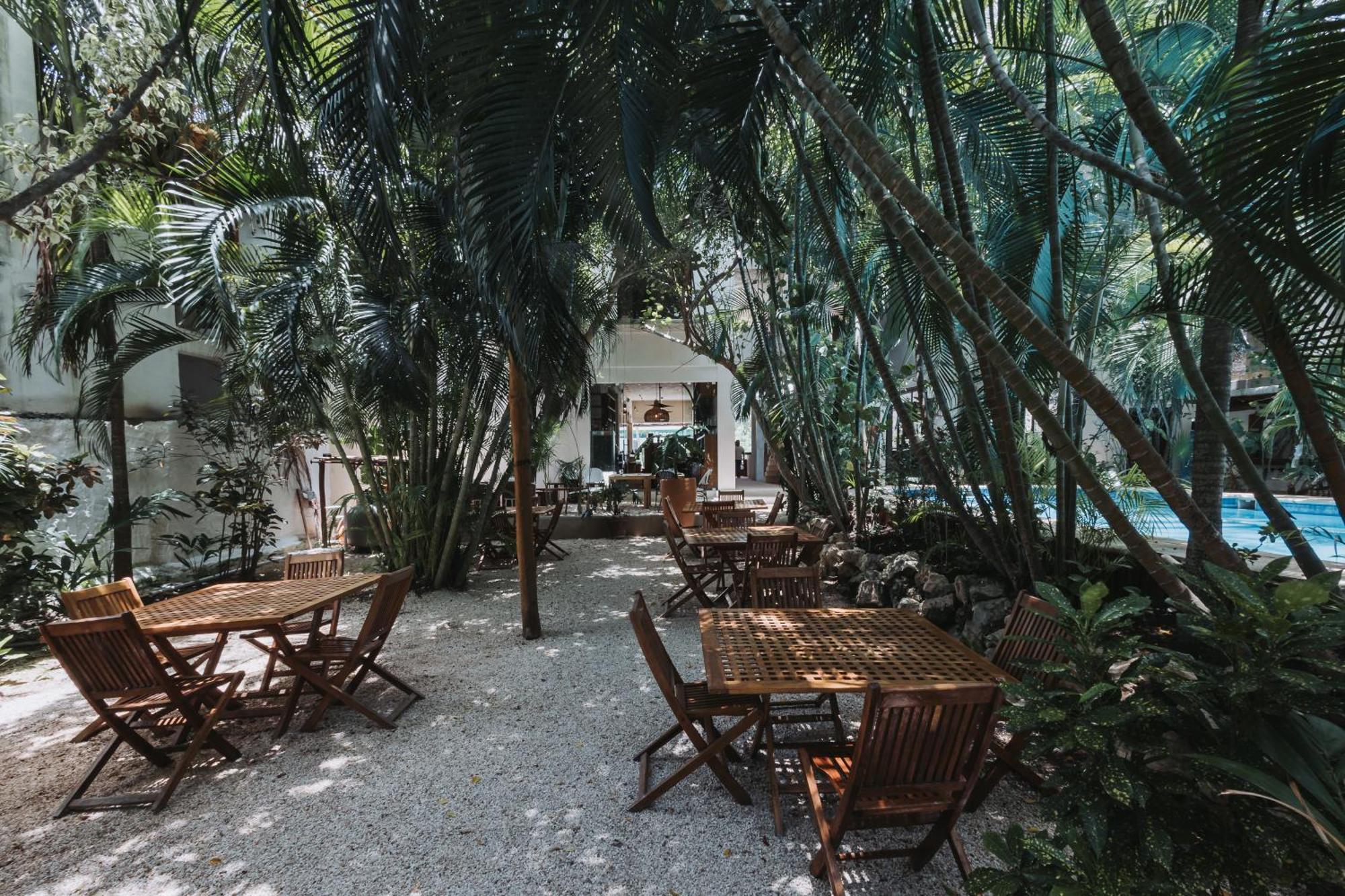 Hotel Casa Barbara Holbox Εξωτερικό φωτογραφία